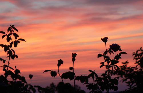 Casa Sant Angelo - Photo 78