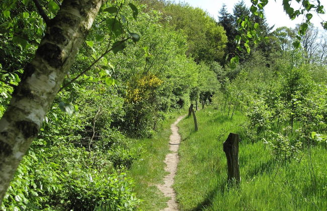 Nice House near River - Photo 29