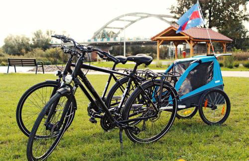 Marina Santok - Foto 13