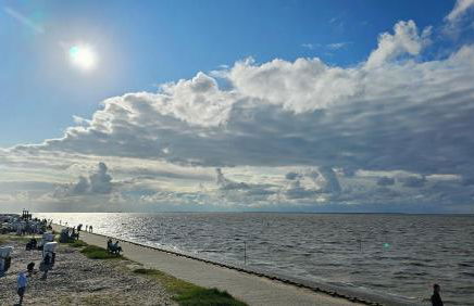 Finkennest Wolke 7 - Foto 36