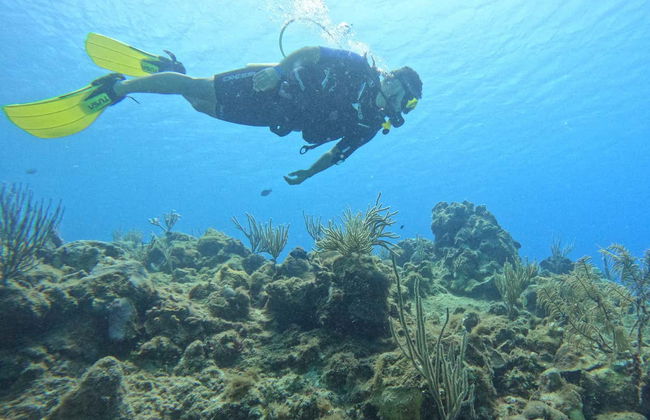 Beginners Scuba Diving in San Andrés - Foto 8