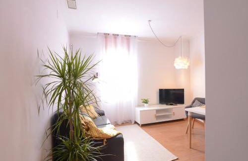 Apartamentos San Pedro - Foto 13