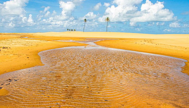 Excursión a la desembocadura del río San Francisco - Foto 2