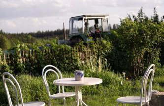 Ferienwohnung auf Biohof Gutso - Foto 15