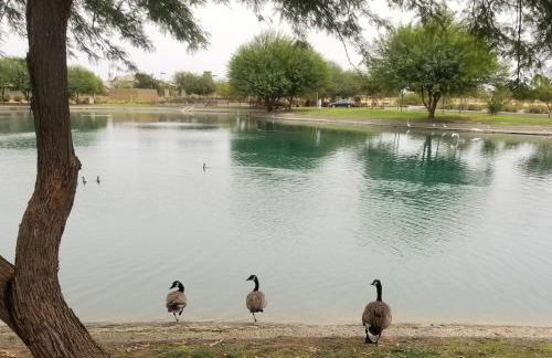 Tropical Desert Oasis Phoenix 5BR 3Bath with Outdoor Tiki Bar & BBQ - Photo 39
