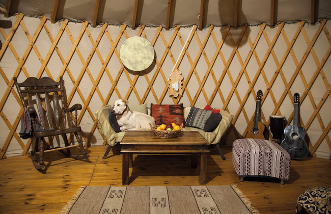 Yurt Located in a Little oak Grove - Foto 1