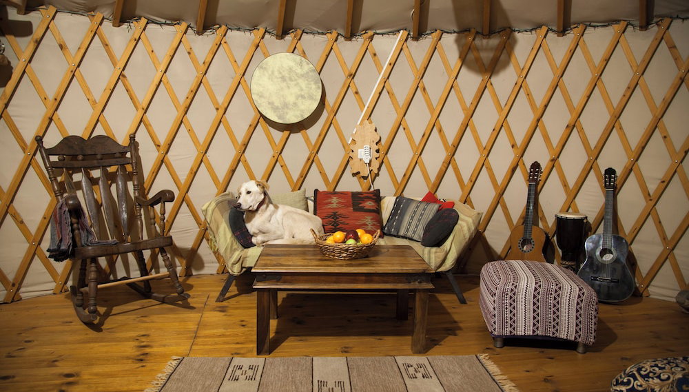 Yurt Located in a Little oak Grove - Photo 1, Primary image