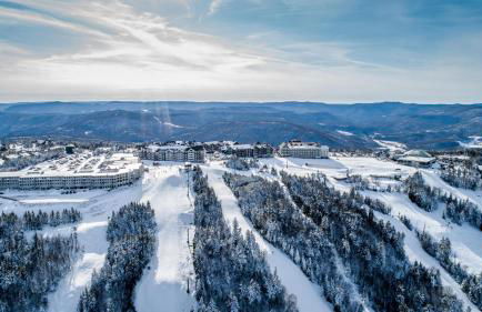 Allegheny Spg - Cozy Condo Ski from our patio - Foto 16
