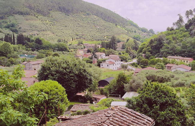 Casale Delle Camelie - Foto 41