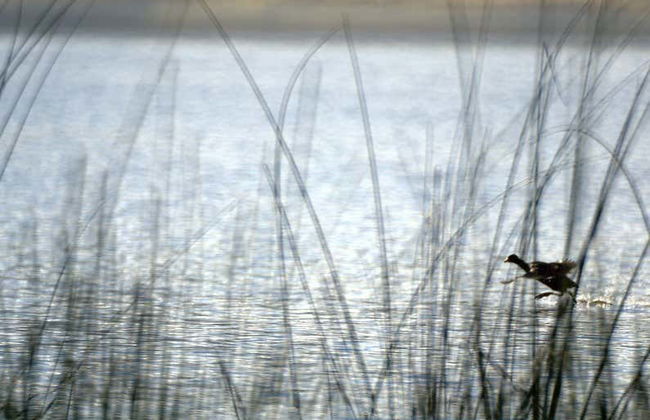 Excursion à cheval à la laguna de Suesca - Photo 5