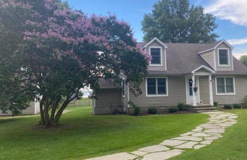 Crepe Myrtle - Foto 44