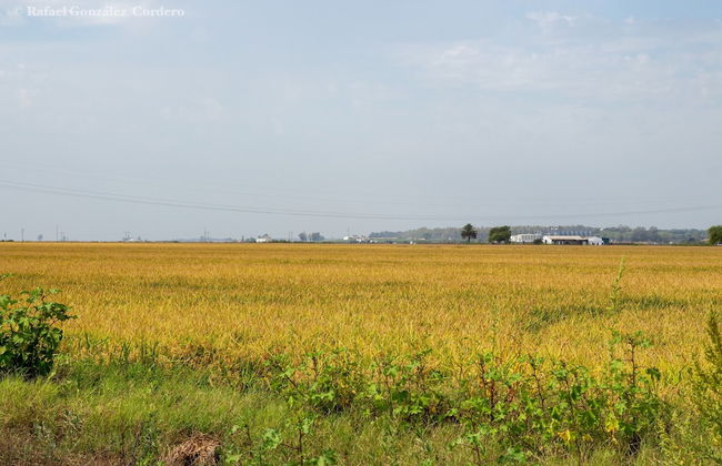Vivienda Rural el Retorno - Foto 35