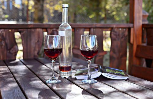 Drozdówka nad Soliną - Domki BOHO - Foto 46