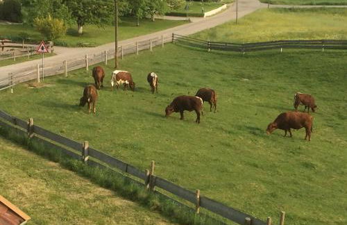 Haus Spiessl - Foto 34