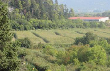 Suite Tangerine Studio - Foto 14