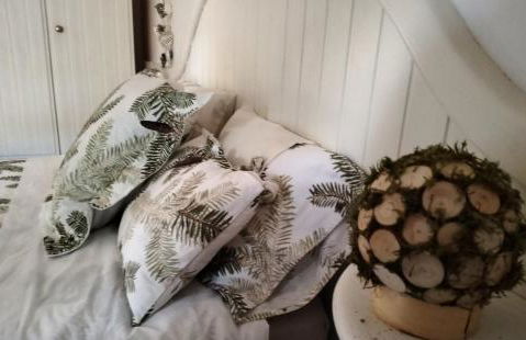 Encanto en el Moncayo - Photo 22