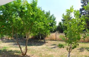 Antheia's House - Foto 18