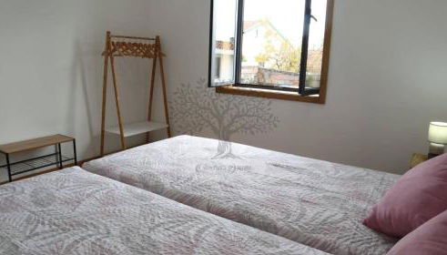 Oliveira's Dream - Stay Good, Feel Good - Foto 5