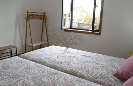 Oliveira's Dream - Stay Good, Feel Good - Foto 5