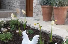 Giardino Sospeso Agriturismo - Foto 23