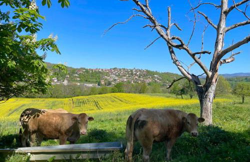 Domaine de Montfort - Foto 50