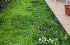 Casa Nonna Rosaria - Foto 47