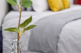 LOFT COSY - HYPERCENTRE - SAUNA - 200m2 - WIFI - Photo 9