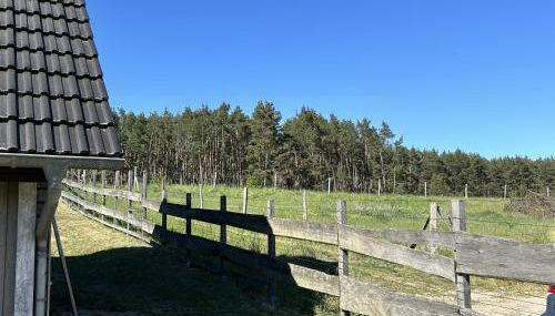 Holzhaus am Waldrand - Foto 5
