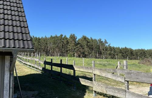 Holzhaus am Waldrand - Foto 5