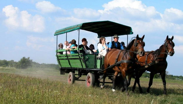 In calesse nei campi di Tanyacsárda