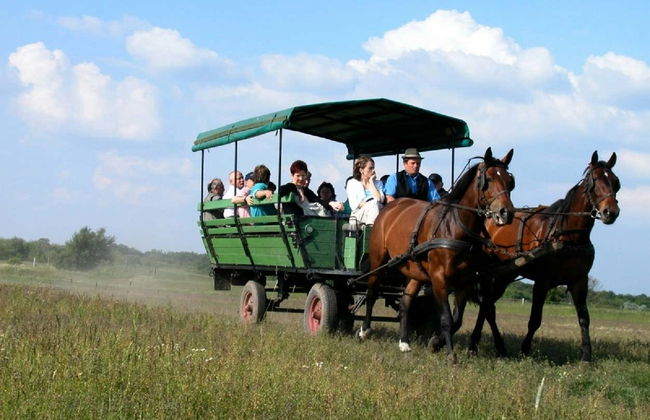 Escursione alla Pusta e spettacolo equestre - Foto 3