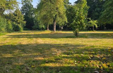 Natur - Urlaub Ferienzimmer Fremdenzimmer Zimmer Hunde herzlich willkommen - Photo 12