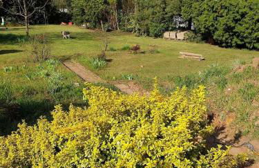 Ferienwohnung Maya - Foto 29