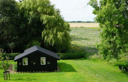 Ferienhaus Achtern Diek - Foto 21