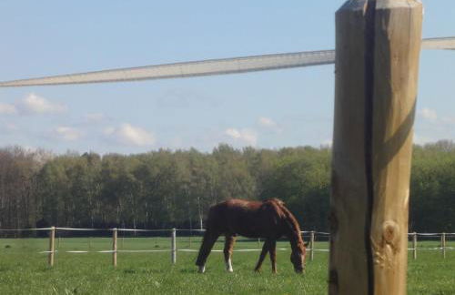 Cologne Country Lodge - Foto 53