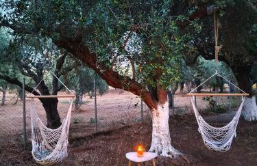 Petrohori before midnight - Foto 47