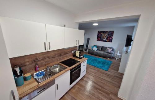 Moderne Gästewohnung "Am Weinberg" am Stadtpark - Foto 12