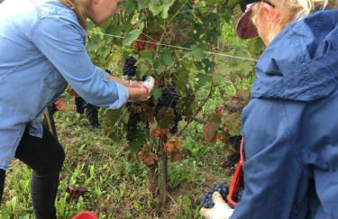 Agriturismo Cascina del Rosone - Foto 9