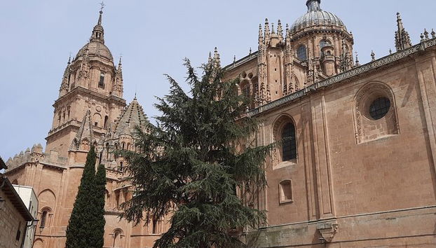 Tour privato speciale per famiglie con bambini a Salamanca - Foto 2