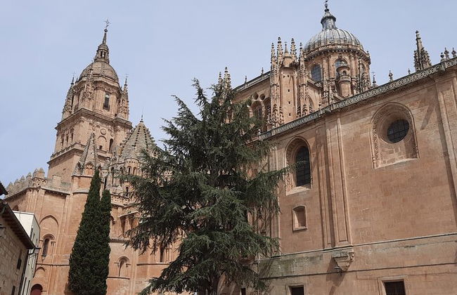 Tour privato speciale per famiglie con bambini a Salamanca - Foto 2