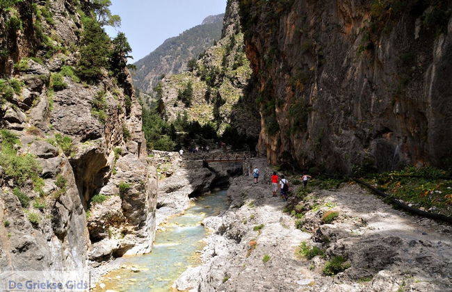 Luxury Villa Amelia - Foto 51