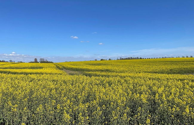 6 Person Holiday Home in Degeberga - Foto 14