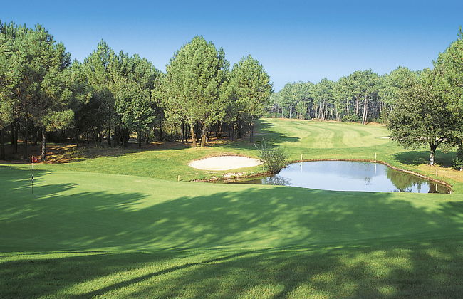 Eden Parc Golf de l'Ardilouse V8IS - Foto 14