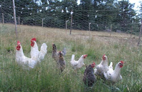 Eco Urbión - Foto 146