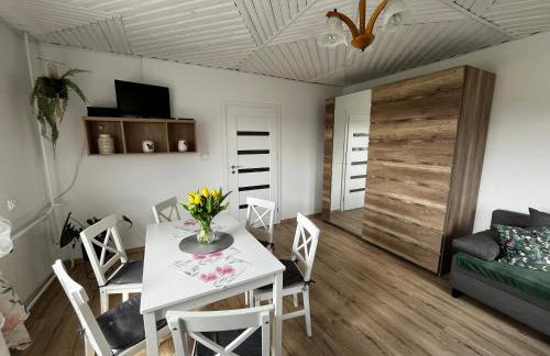 Agroturystyka Pod Dzwonnicą - Beskidy - Foto 12