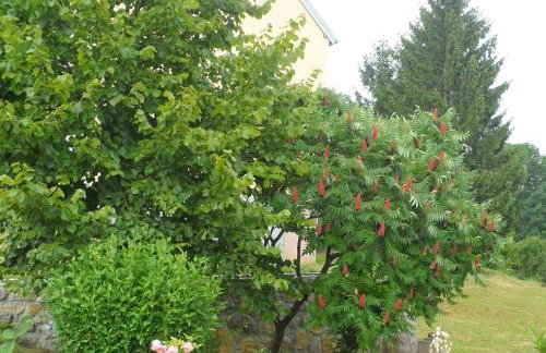 Apartments Rendulic - Foto 11