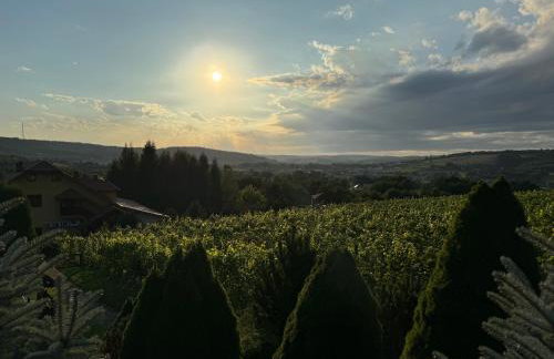 Willa Winnica Maria Anna - Foto 15