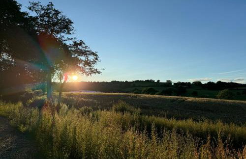 Llanerchydol Hall Suites - Foto 30