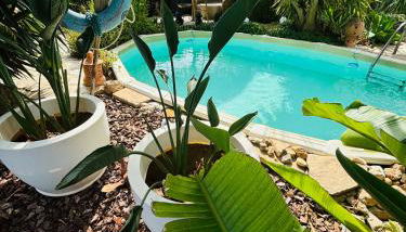 Casita Limón Andratx - Foto 2