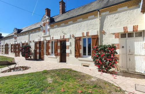 Les camélias - Foto 1